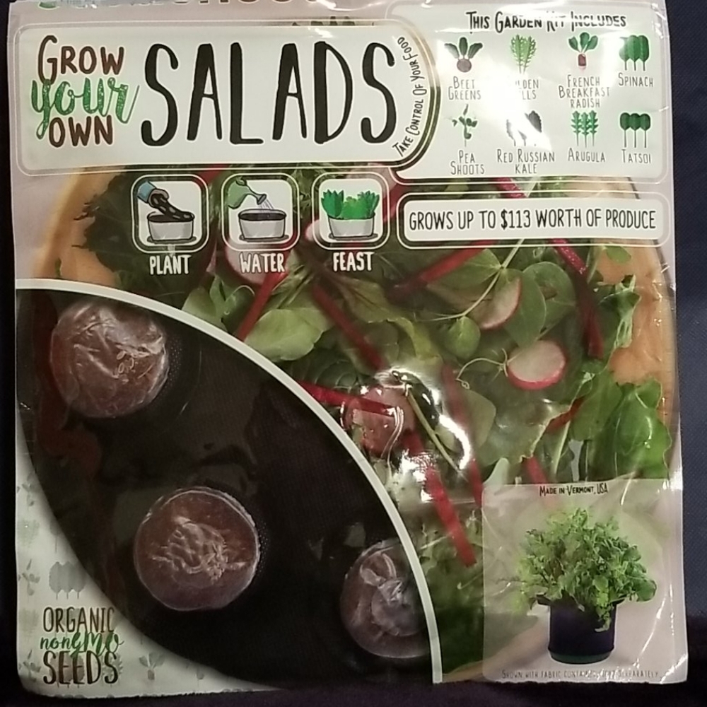 Grow Fresh Salad Indoors